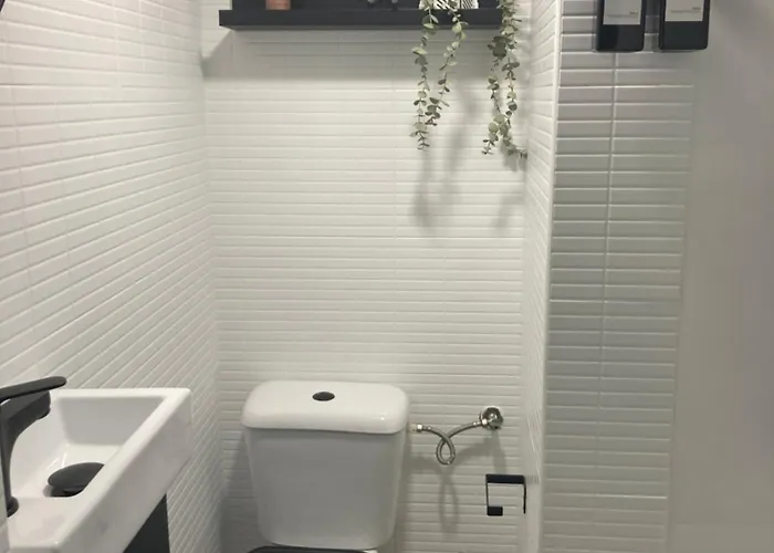 Empedrado Jerez de la Frontera