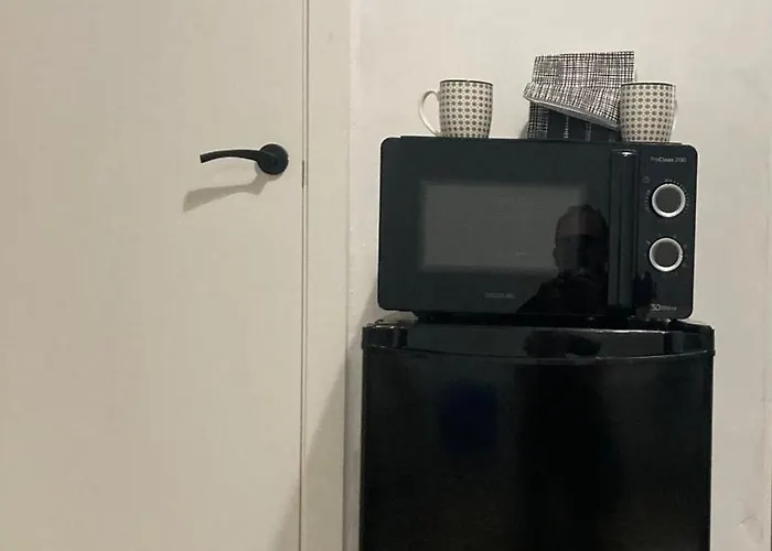 Empedrado Jerez de la Frontera